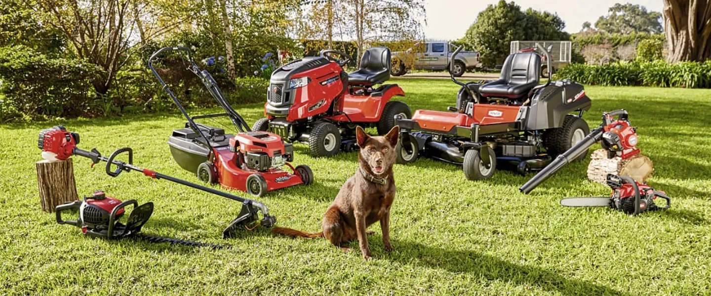 MY ROVER IS QUALITY WITHOUT COMPROMISE